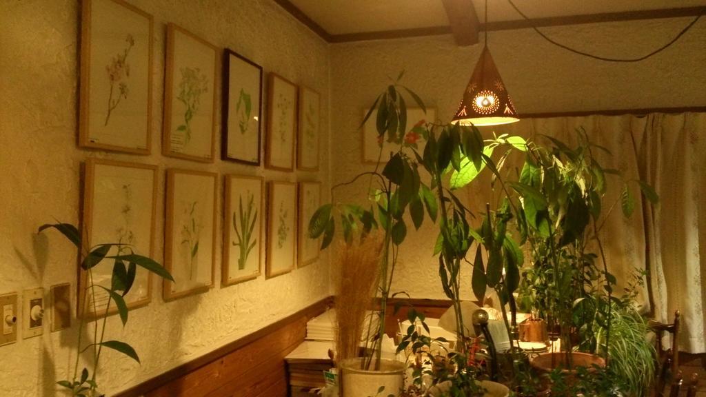 Gallery & Lodge Noichigo Χακούμπα Εξωτερικό φωτογραφία